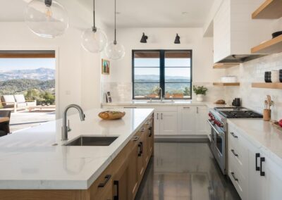 Radiant Dry Creek renovation kitchen